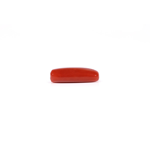 Red Coral - 3.9 Carat