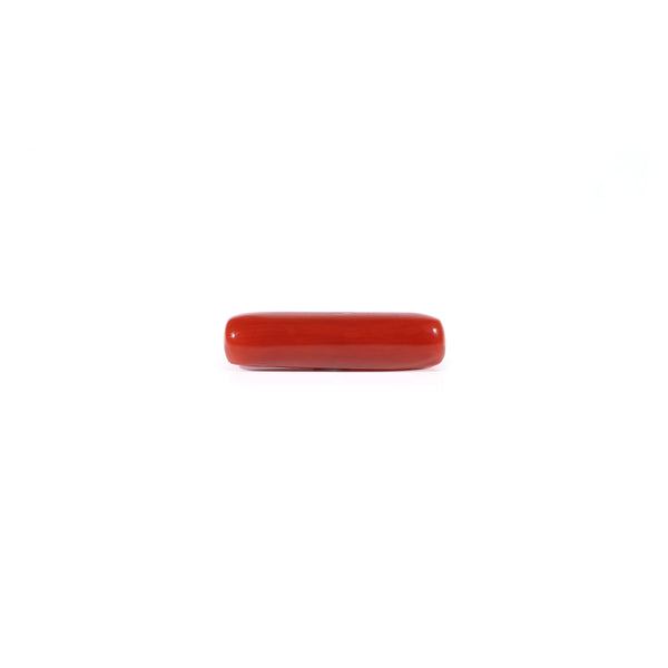 Red Coral - Moonga - 4.5 Carat - Pramogh