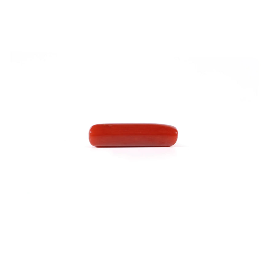 Red Coral - 4.5 Carat
