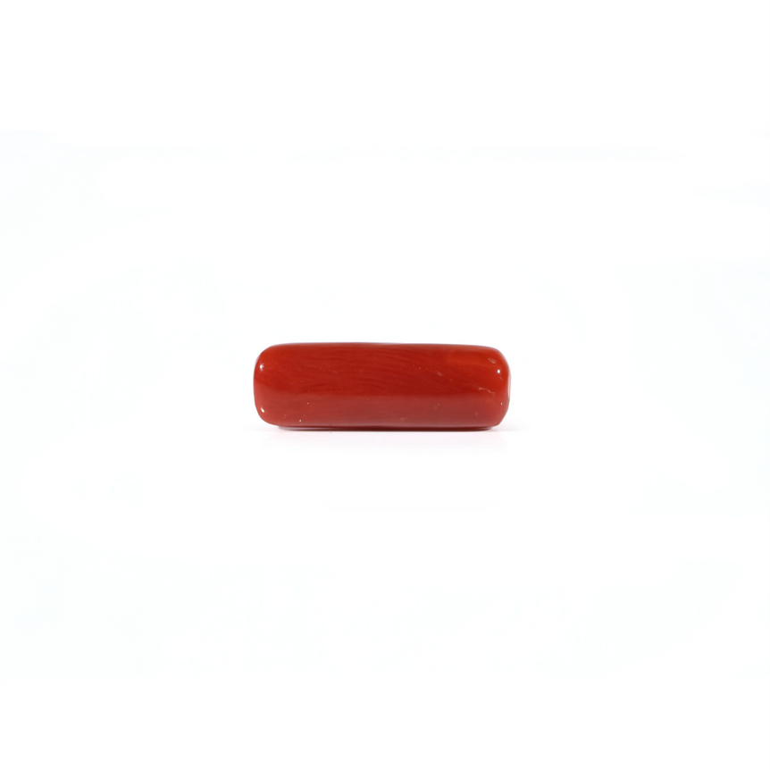 Red Coral - 4.2 Carat
