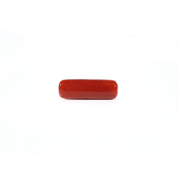 Red Coral - 4.2 Carat