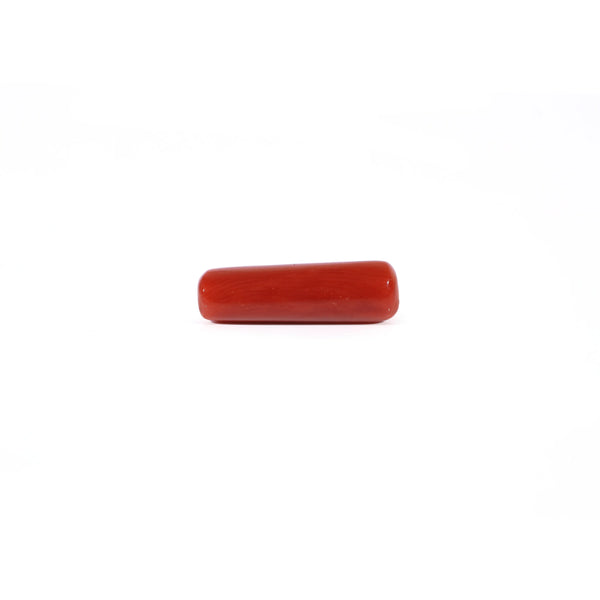 Red Coral - 4.2 Carat