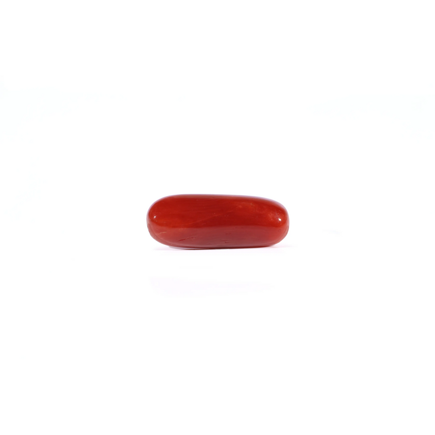 Red Coral - Moonga - 4.2 Carat - Pramogh