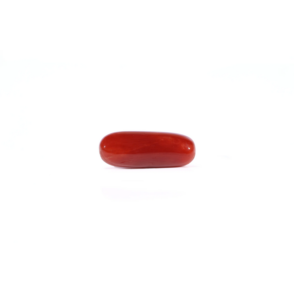 Red Coral - Moonga - 4.2 Carat - Pramogh