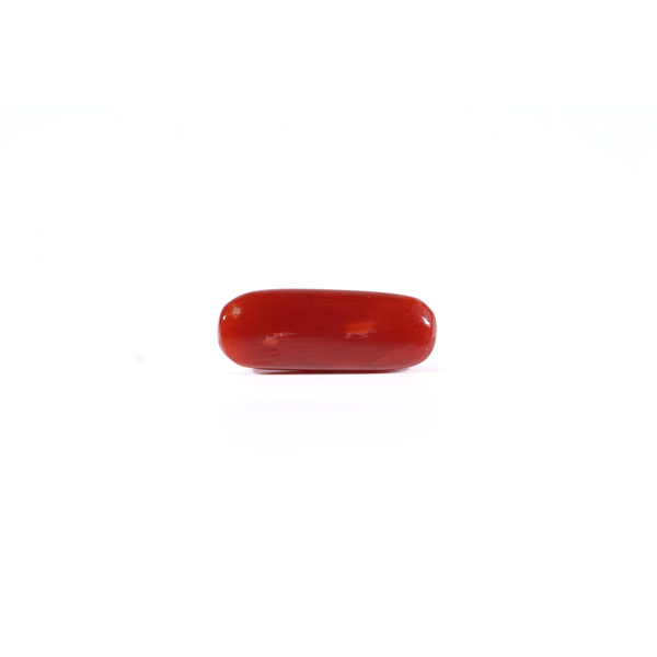 Red Coral - 4.2 Carat