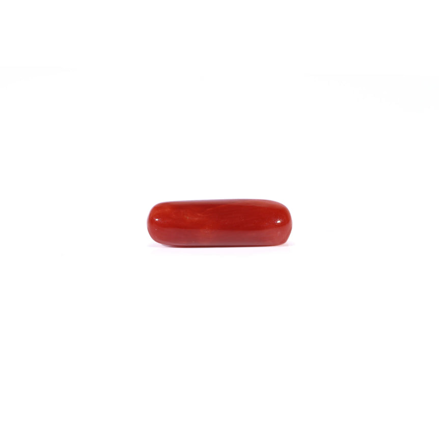 Red Coral - 4.2 Carat