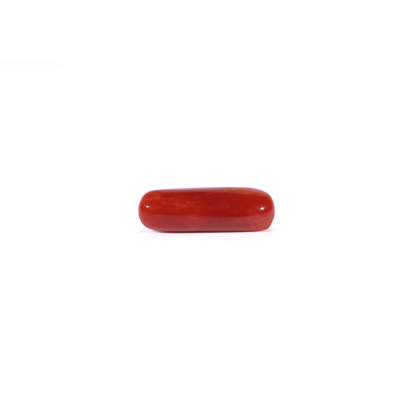 Red Coral - 4.2 Carat