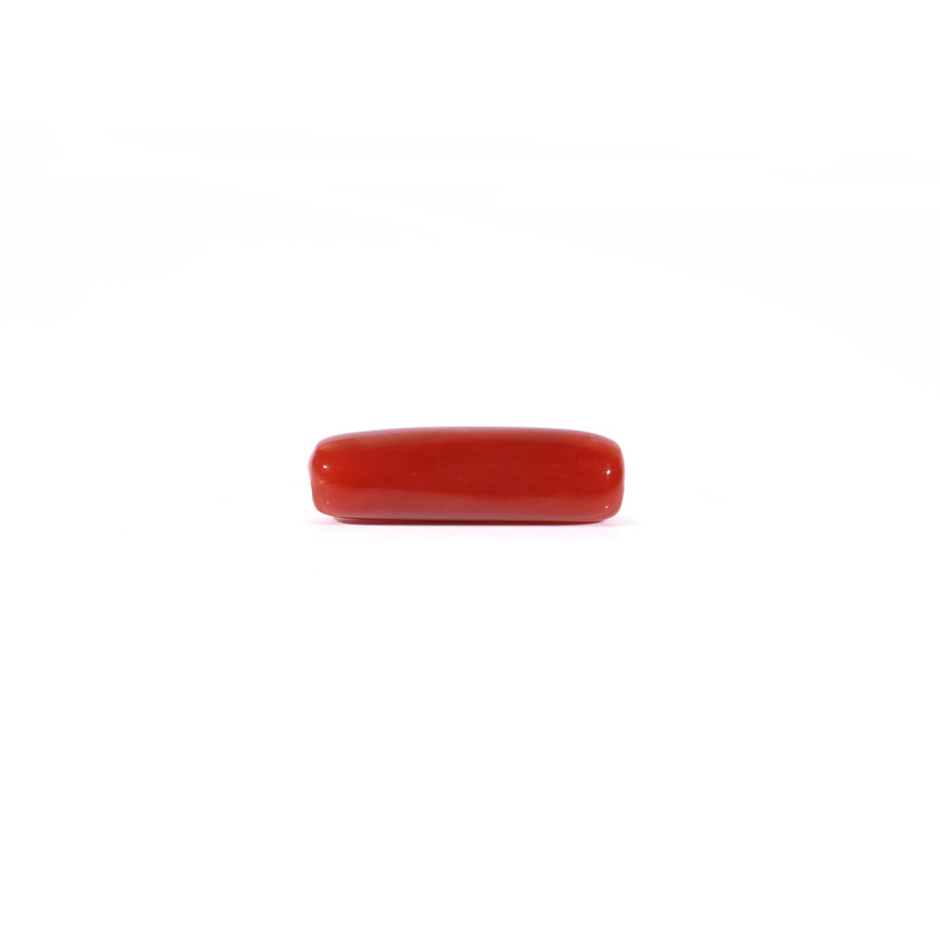 Red Coral - 3.75 Carat