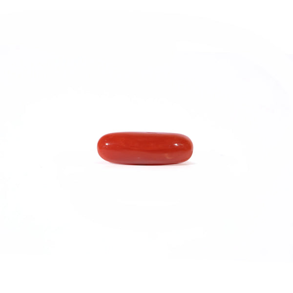 Red Coral - Moonga - 3.72 Carat - Pramogh
