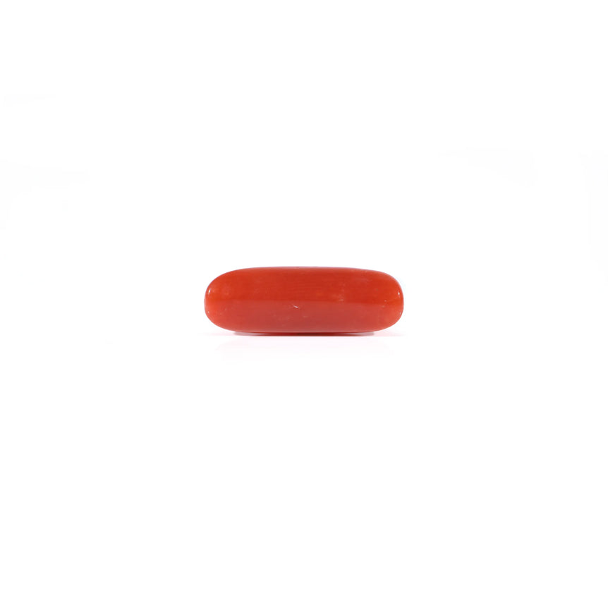 Red Coral - 3.72 Carat