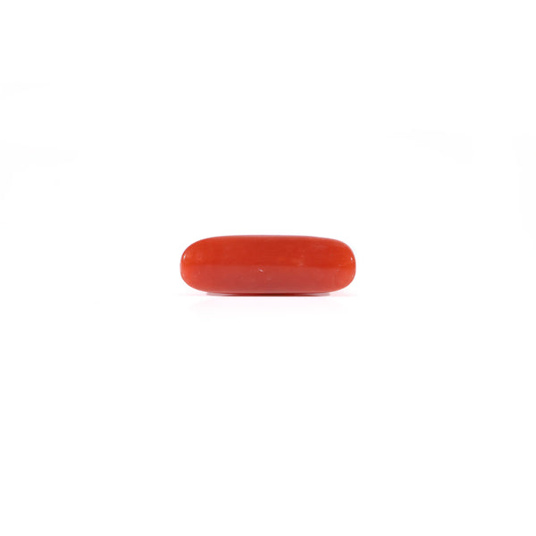 Red Coral - 3.72 Carat
