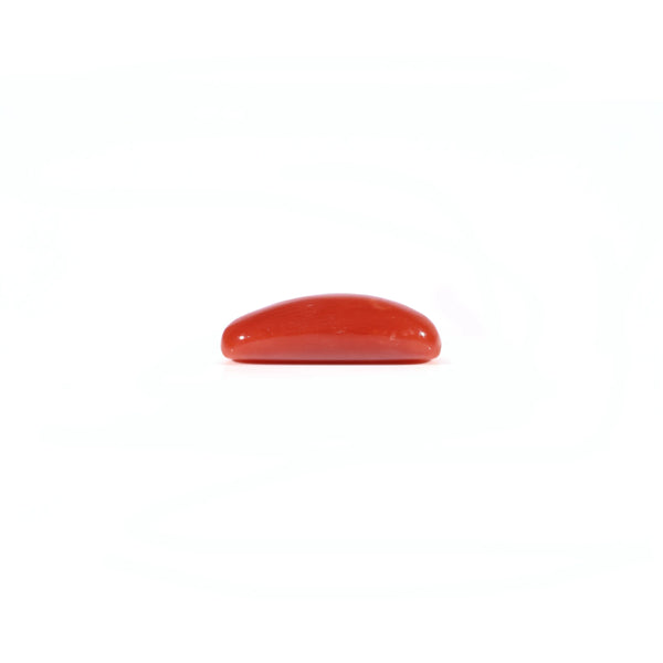 Red Coral - 3.72 Carat