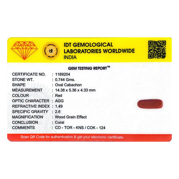 Red Coral - 3.72 Carat