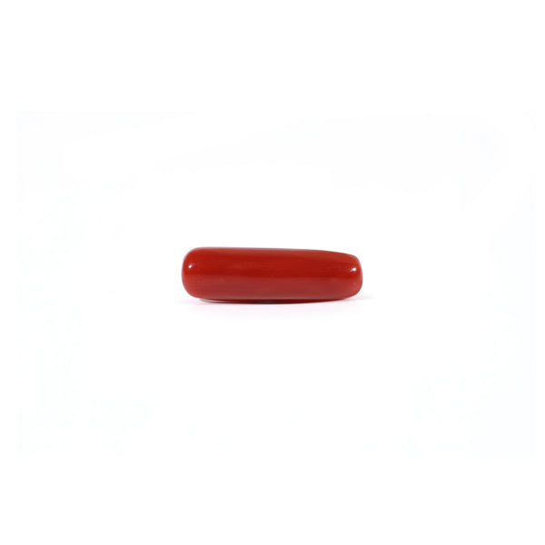 Red Coral - Moonga - 4.5 Carat - Pramogh