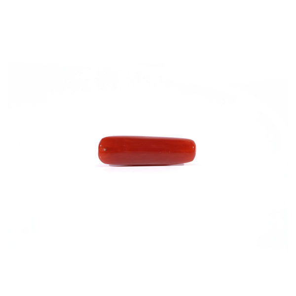 Red Coral - 4.5 Carat
