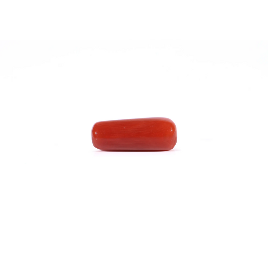 Red Coral - Moonga - 4.2 Carat - Pramogh