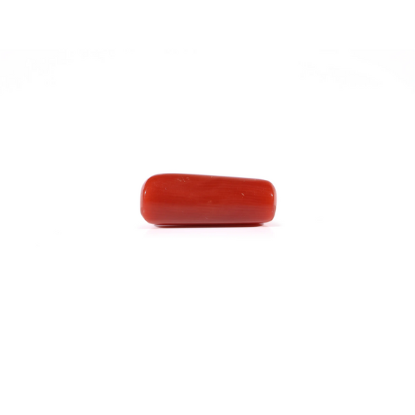 Red Coral - 4.2 Carat