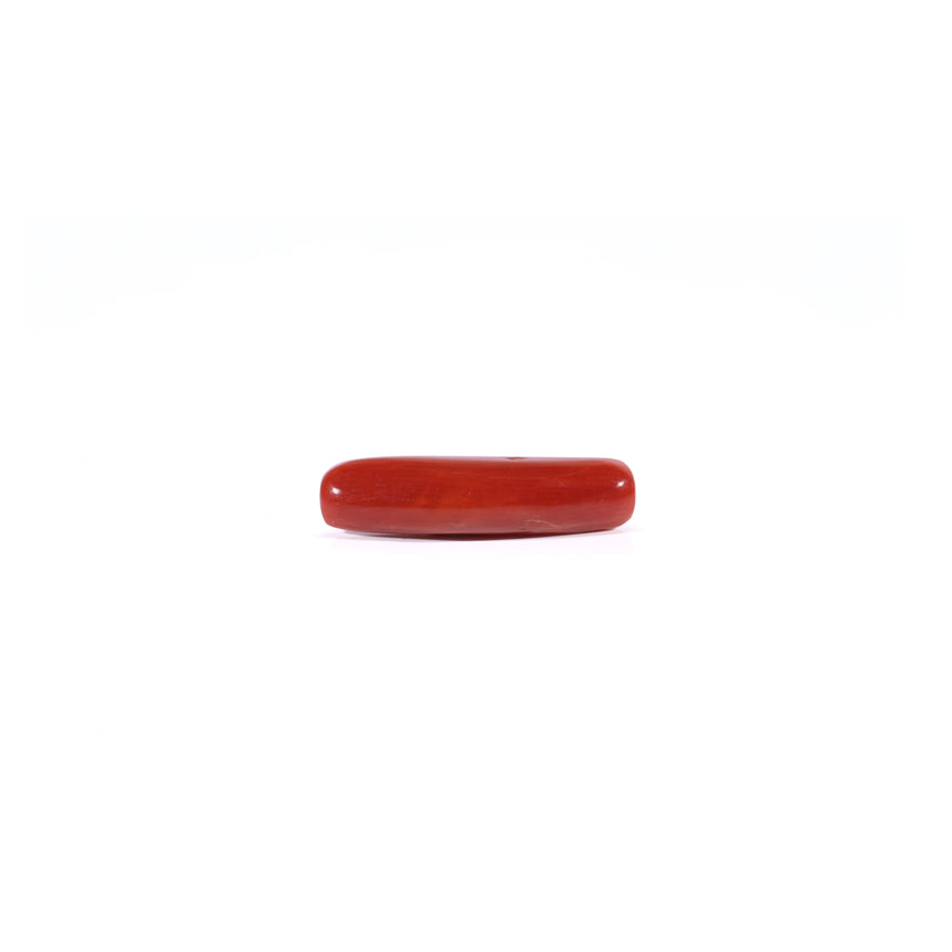 Red Coral - Moonga - 4.2 Carat - Pramogh
