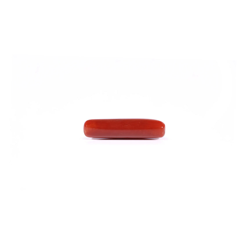 Red Coral - 4.2 Carat