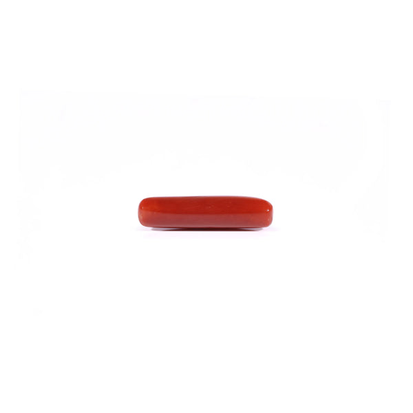 Red Coral - 4.2 Carat