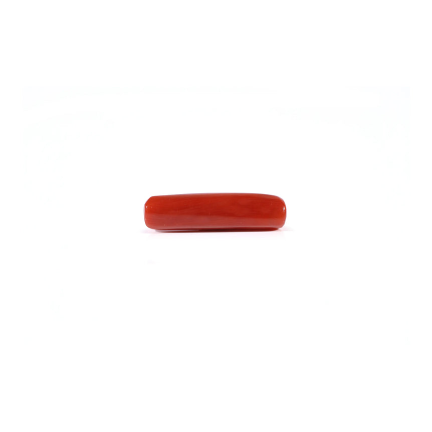 Red Coral - 4.2 Carat