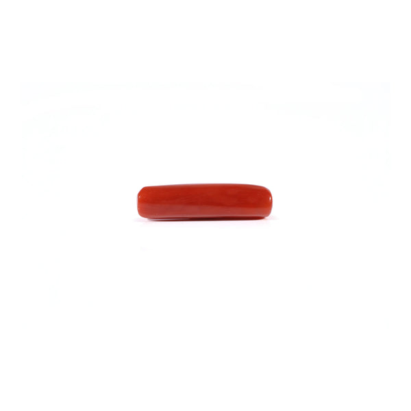 Red Coral - 4.2 Carat