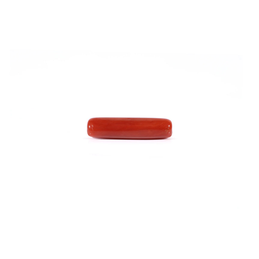 Red Coral - 4.2 Carat