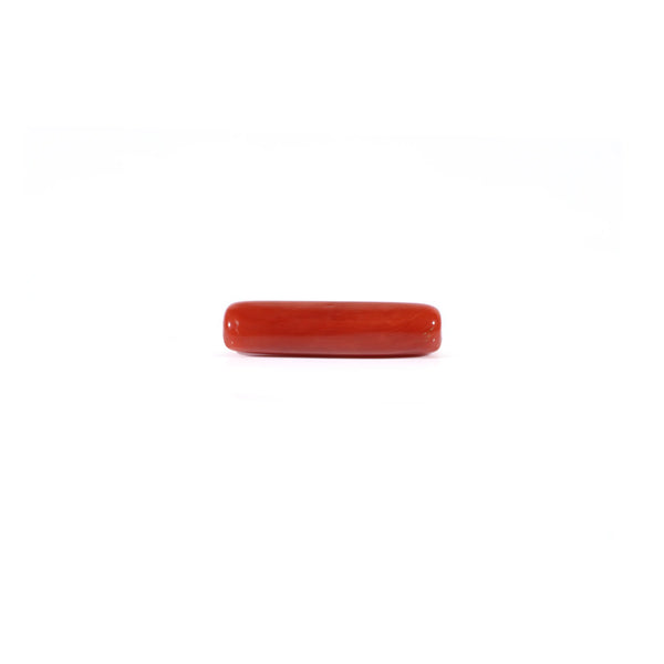 Red Coral - 4.2 Carat