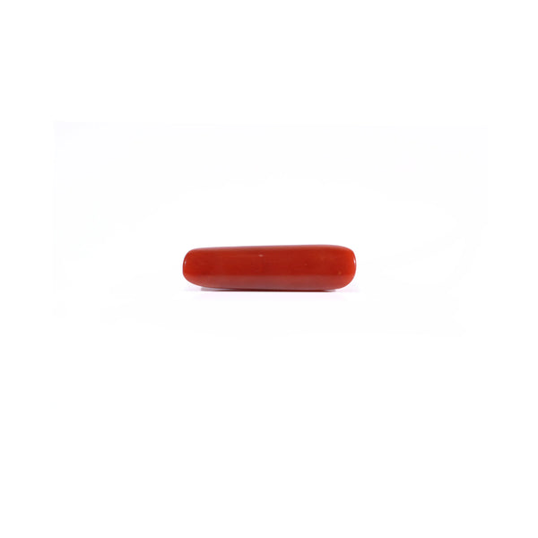 Red Coral - 4.5 Carat
