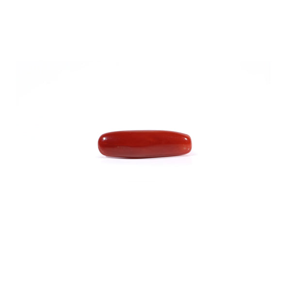 Red Coral - Moonga - 4.37 Carat - Pramogh