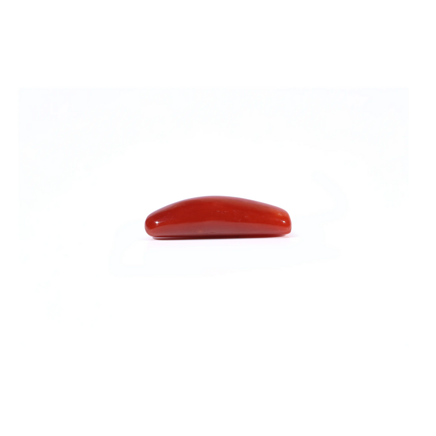 Red Coral - 4.37 Carat