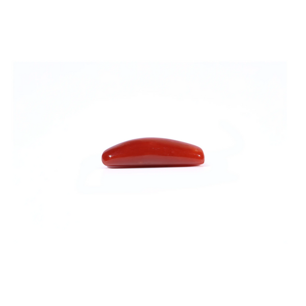 Red Coral - 4.37 Carat