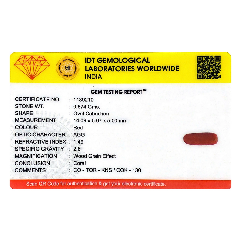 Red Coral - 4.37 Carat