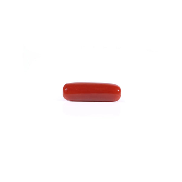 Red Coral - Moonga - 4.3 Carat - Pramogh