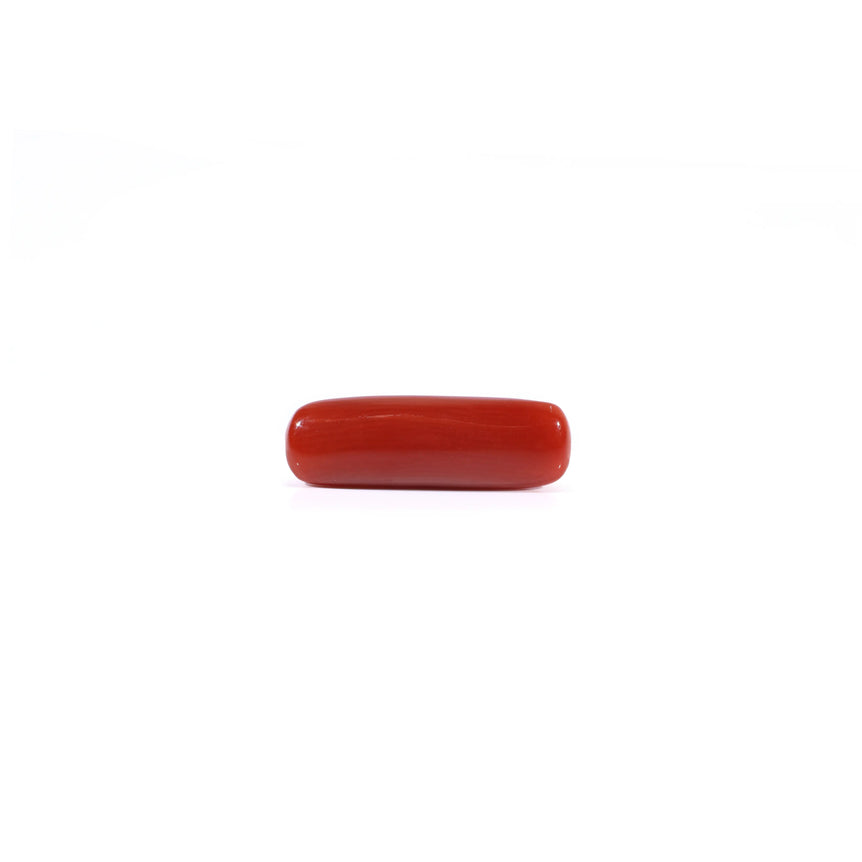 Red Coral - 4.3 Carat