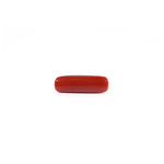 Red Coral - 4.3 Carat