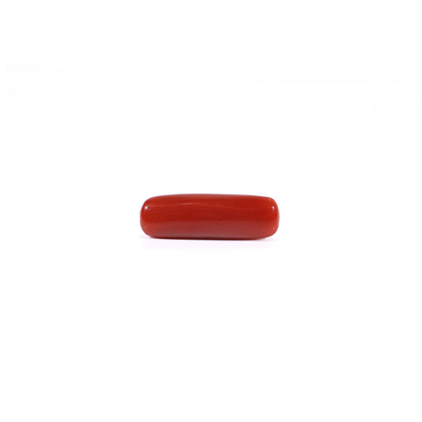 Red Coral - 4.3 Carat