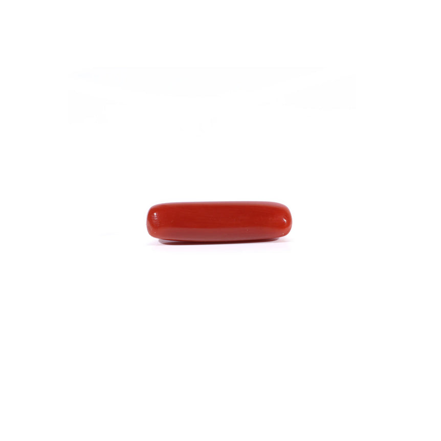 Red Coral - 4.3 Carat