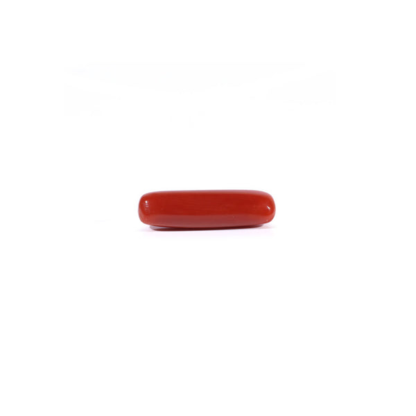 Red Coral - 4.3 Carat