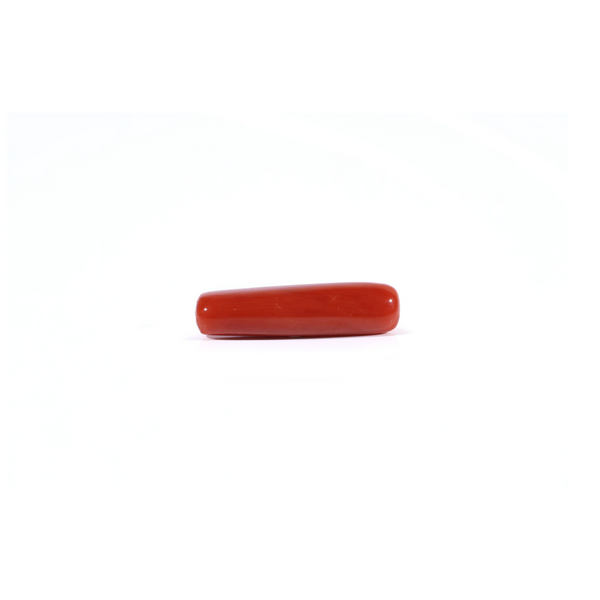 Red Coral - Moonga - 4.3 Carat - Pramogh