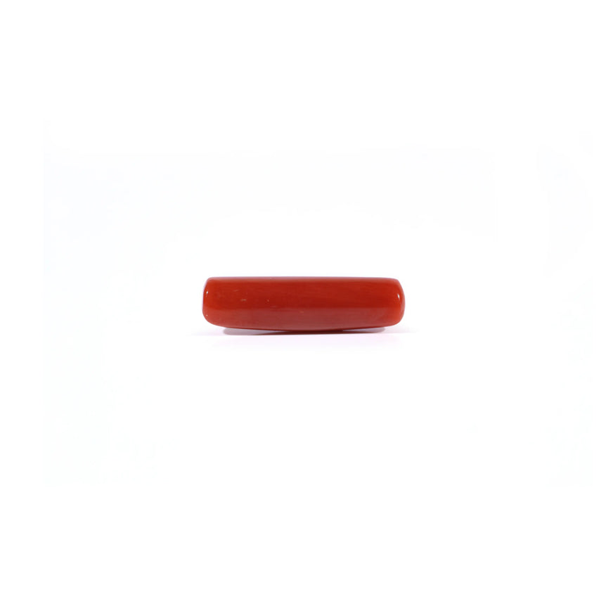 Red Coral - 4.3 Carat
