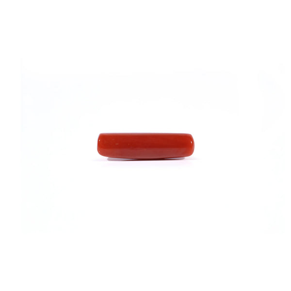 Red Coral - 4.3 Carat
