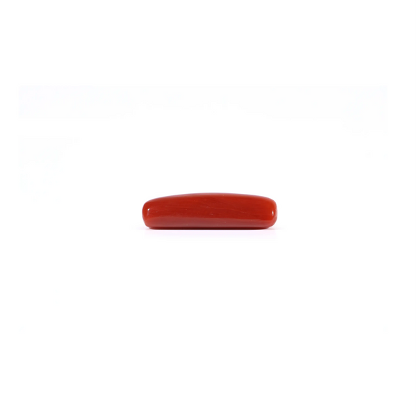 Red Coral - 4.3 Carat