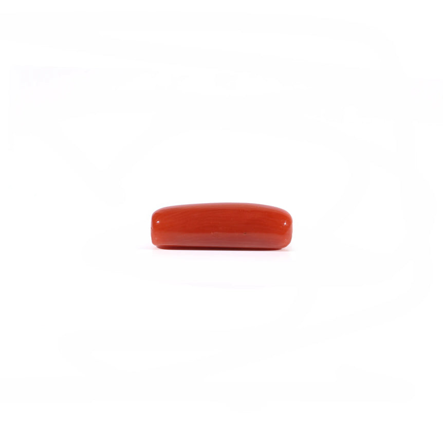 Red Coral - 4.2 Carat