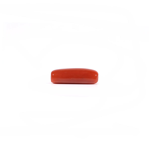 Red Coral - 4.2 Carat