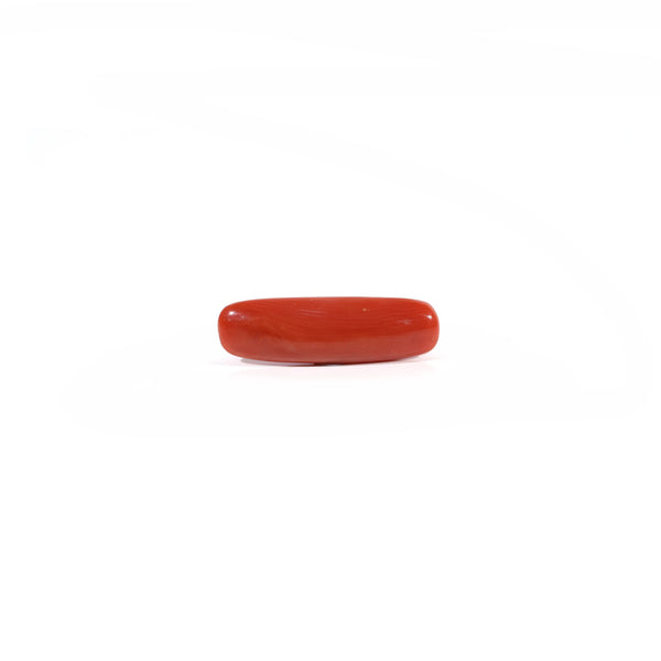 Red Coral - Moonga - 3.65 Carat - Pramogh
