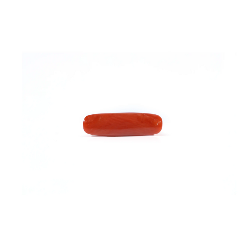 Red Coral - 3.65 Carat