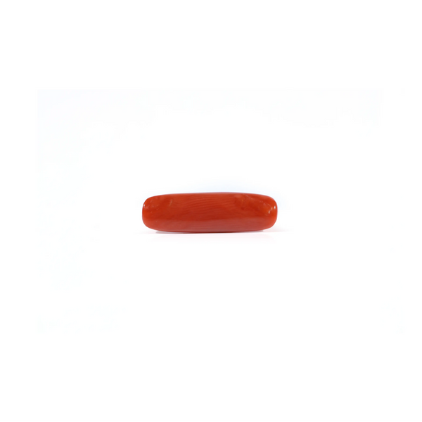Red Coral - 3.65 Carat