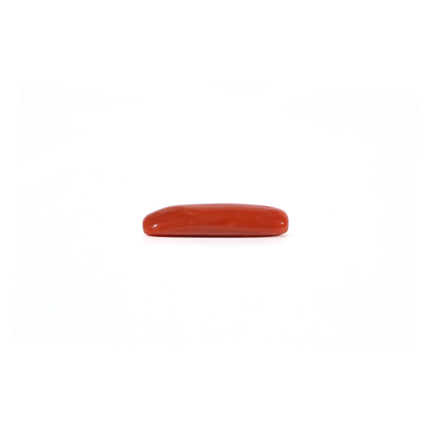 Red Coral - 3.65 Carat