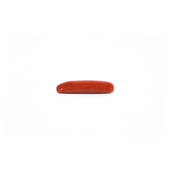 Red Coral - 3.65 Carat